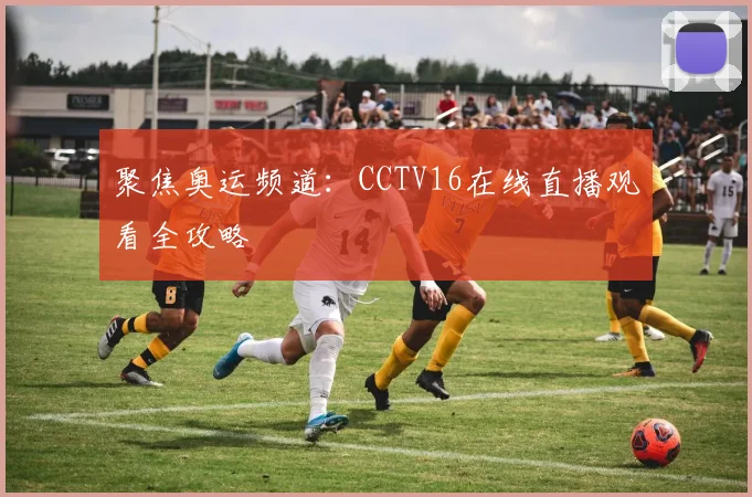 聚焦奥运频道：CCTV16在线直播观看全攻略