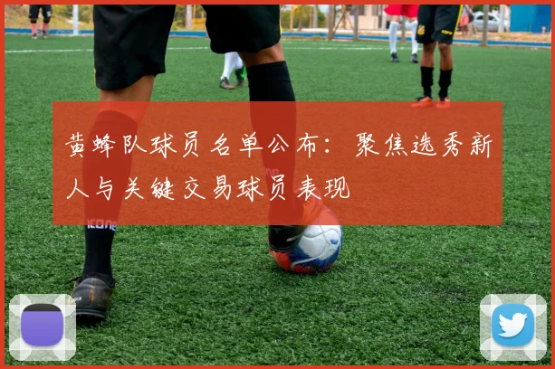 黄蜂队球员名单公布:聚焦选秀新人与关键交易球员表现
